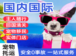 三家子机场空运国际宠物托运 【国